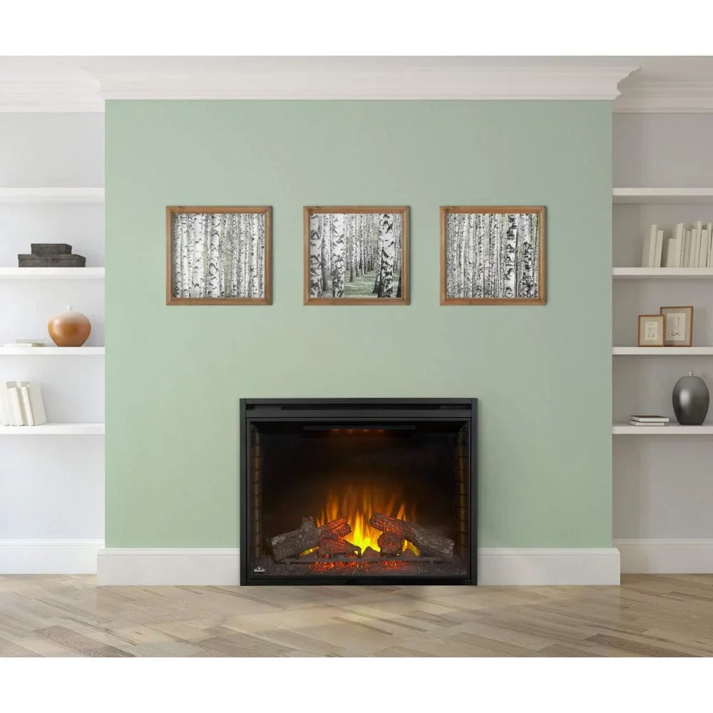 in. 40 Electric Insert Built-in Firebox Napoleon