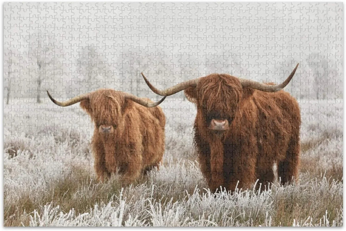 Scottish Wooden Puzzles for Friends Gift Adults, Pieces Creative Exercise Grandparents 500 for Jigsaw Challenging Parents Family Highland Fun Brain Game Jigsaw Cow Puzzle