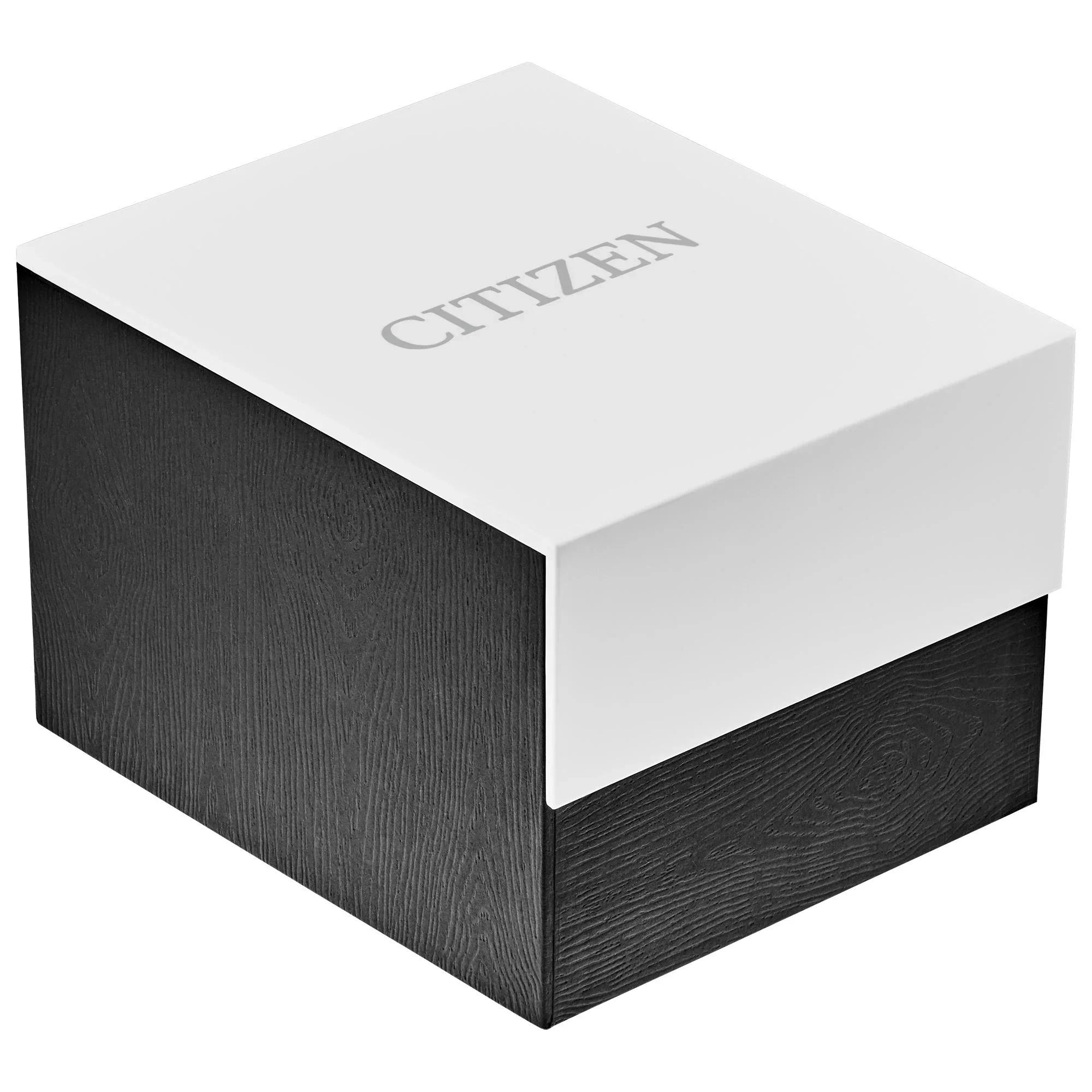 Watch Eco-Drive Men's Strap Black AW1723-02E Endicott - Citizen Leather