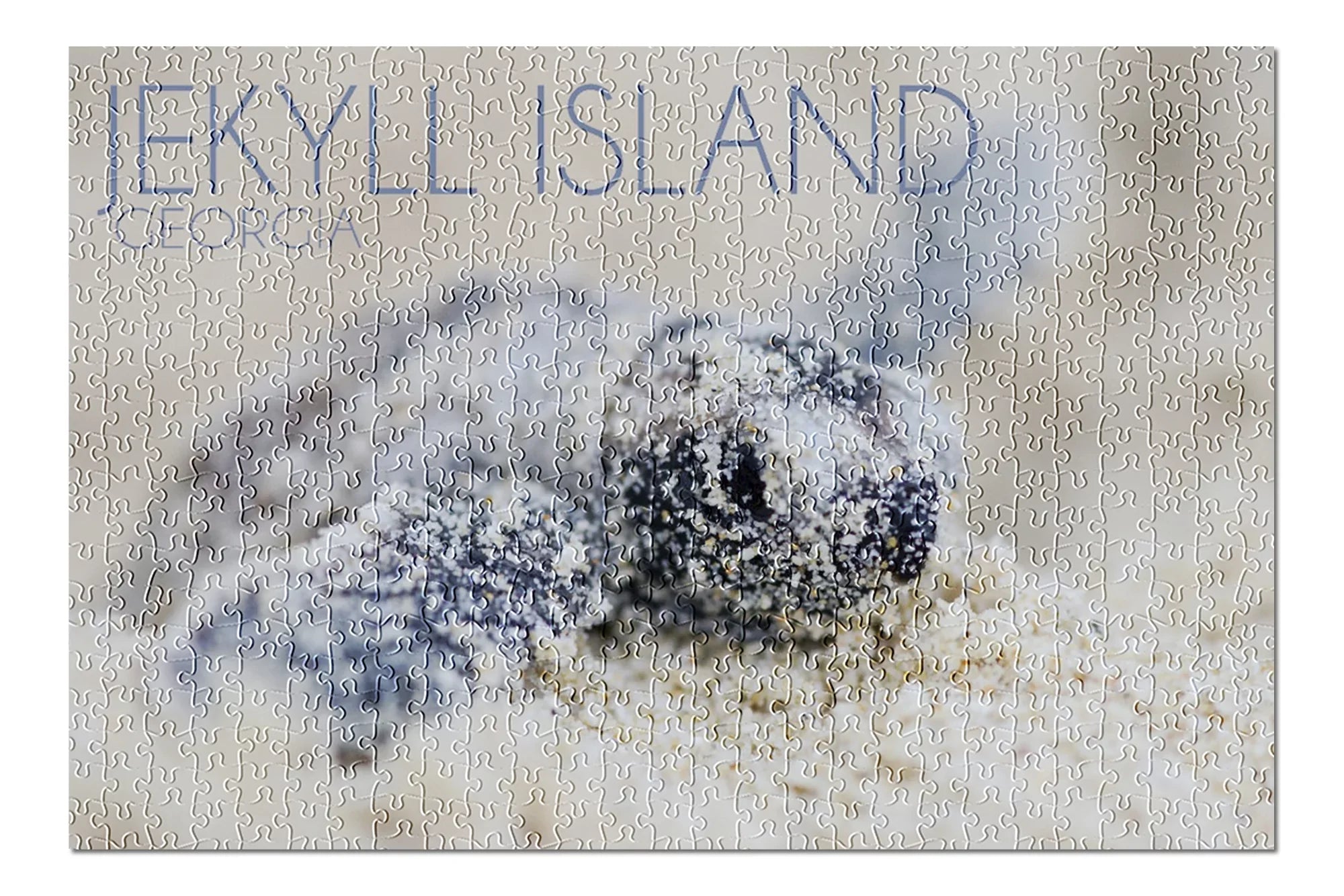 Turtle Jekyll Piece Made 500 Family, Island, Adults Premium (19x27 in Hatching Georgia, Puzzle for ) and inches, Hawksbill Jigsaw