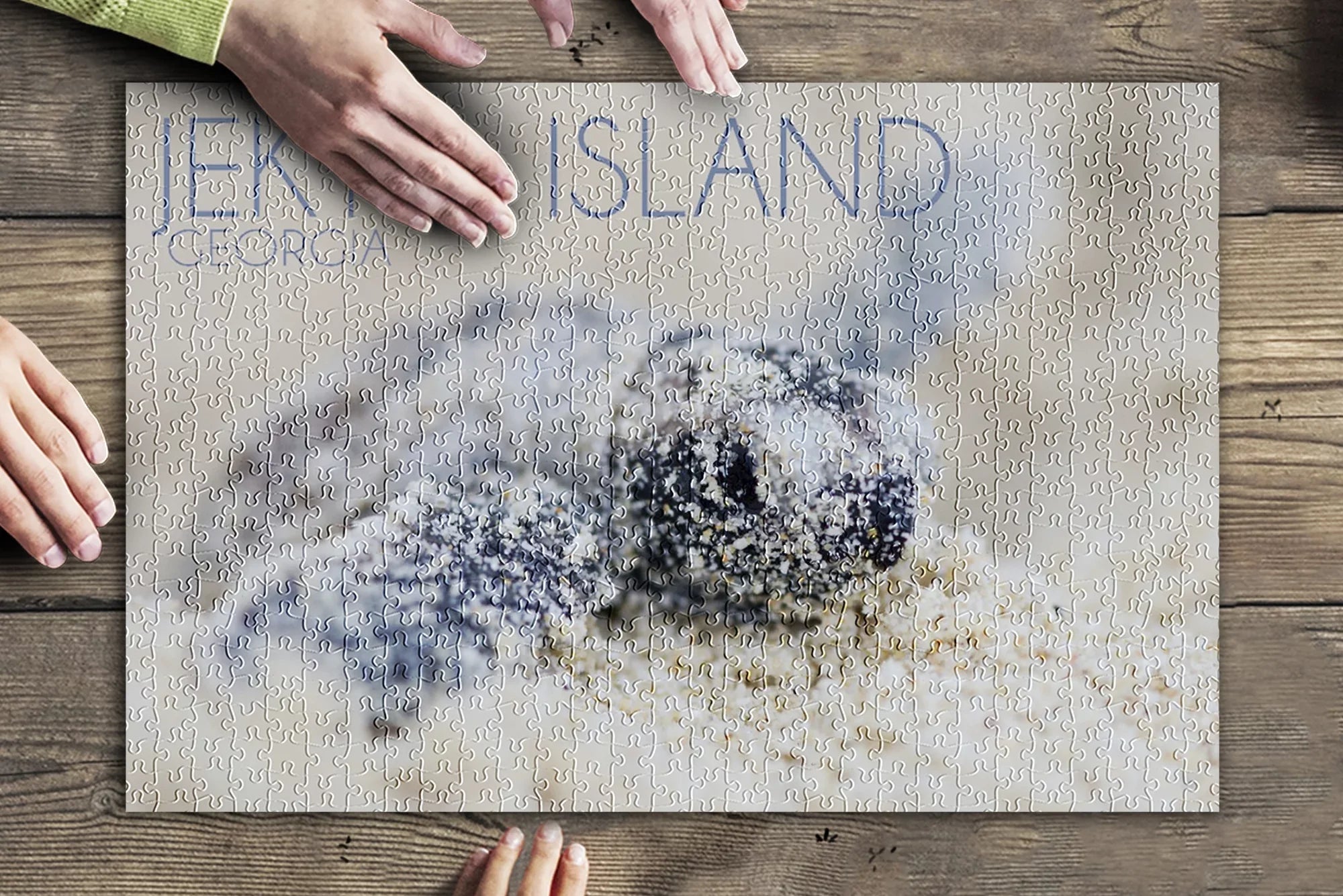Turtle Jekyll Piece Made 500 Family, Island, Adults Premium (19x27 in Hatching Georgia, Puzzle for ) and inches, Hawksbill Jigsaw