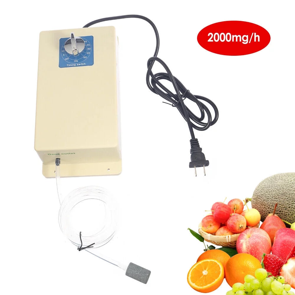 Ozone 2000mg/h Sterilizer Machine Swithch Moisture Time Purifier + Air Generator