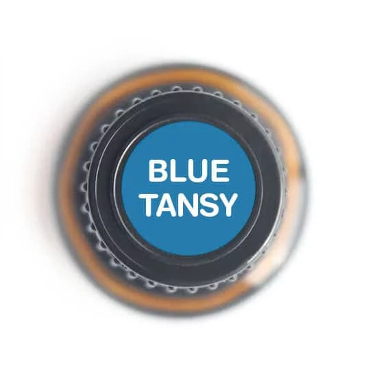 Essential Tansy Oil Blue