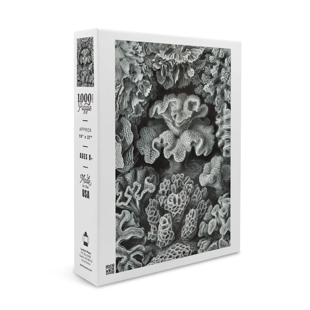 Puzzle Made Ernst Family, Piece Jigsaw (1000 Hexacoralla in ) Challenging and Size 19x27, Adults Haeckel, for Puzzle,