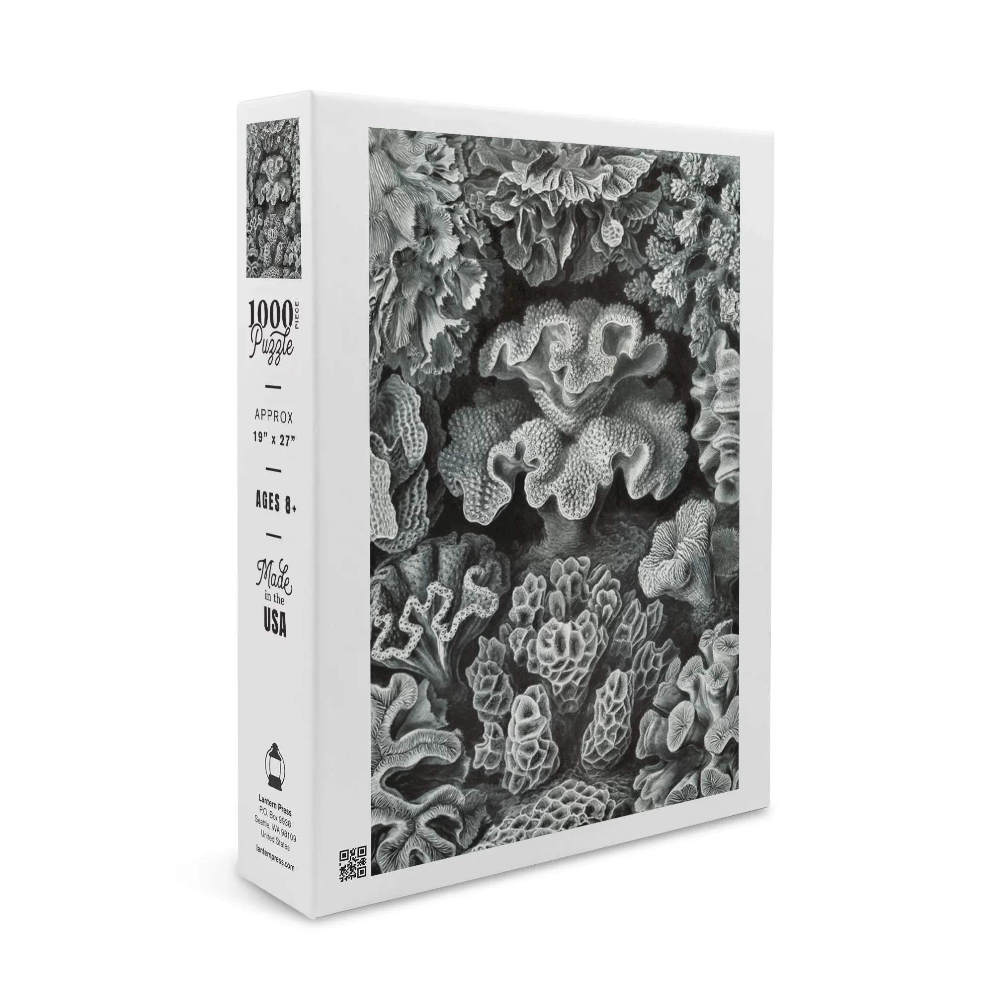 Puzzle Made Ernst Family, Piece Jigsaw (1000 Hexacoralla in ) Challenging and Size 19x27, Adults Haeckel, for Puzzle,