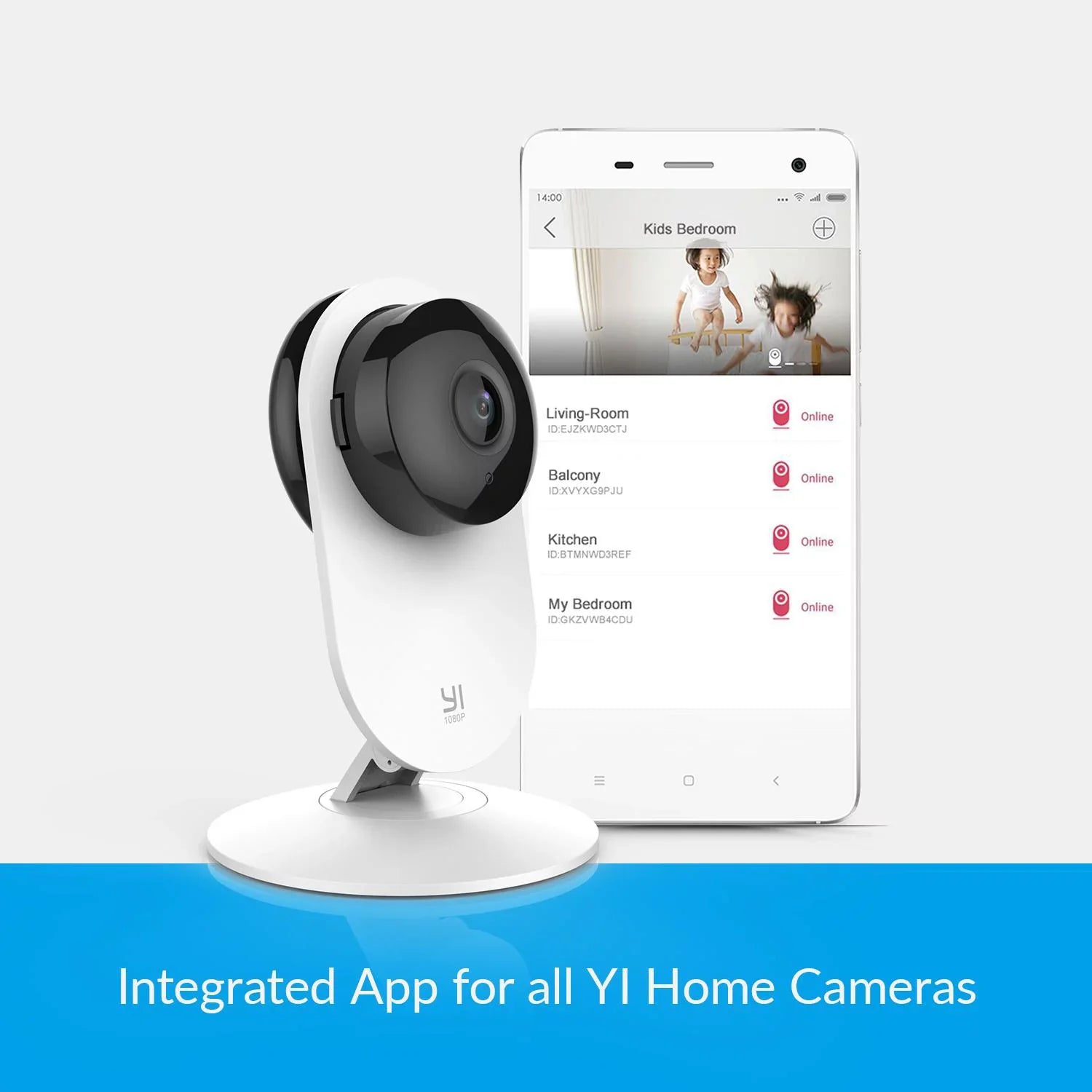 Color, 4 Network Pack Camera,