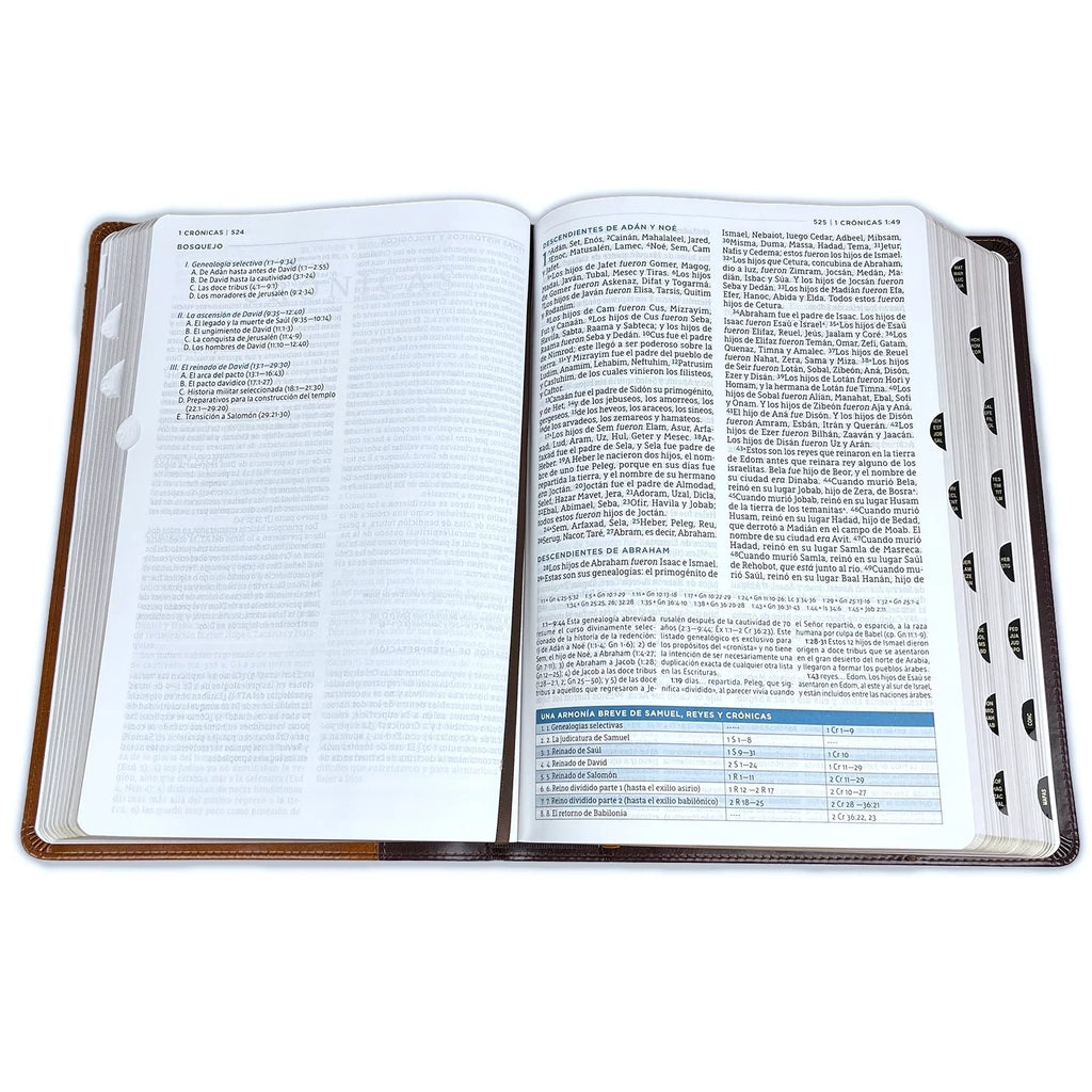 Con Macarthur, Café, Nbla Colores, de Leathersoft, Interior (Other) Estudio a Biblia Índice