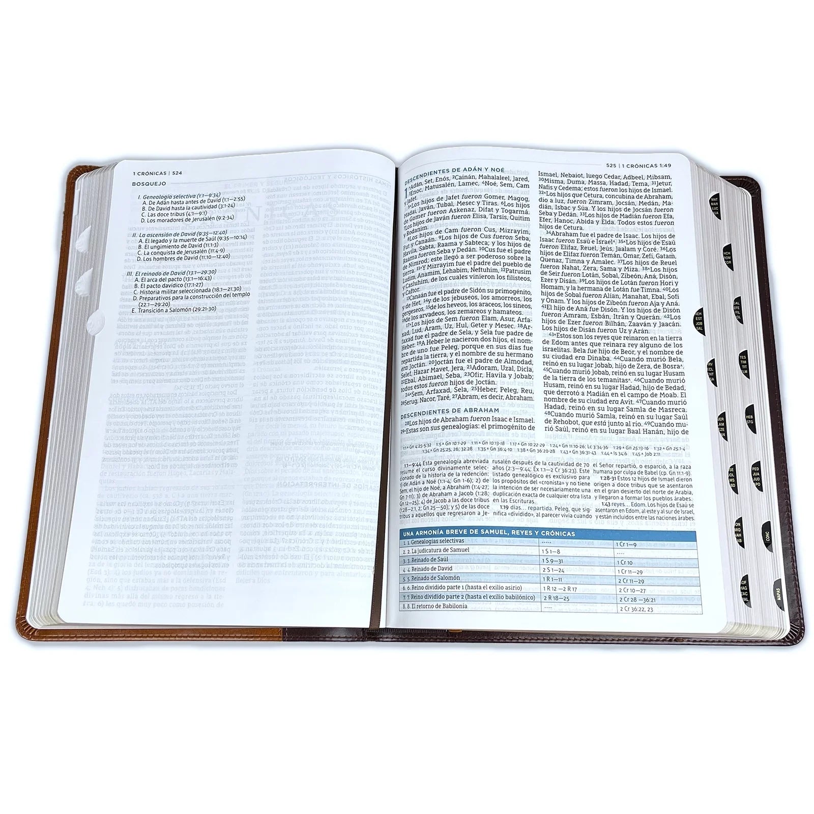Con Macarthur, Café, Nbla Colores, de Leathersoft, Interior (Other) Estudio a Biblia Índice