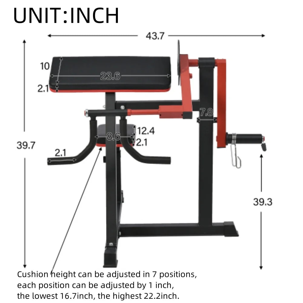 Strength for Extension Curl with Curl Home Gym Standard Preacher Machine Bench Adjustable Leg Exercises