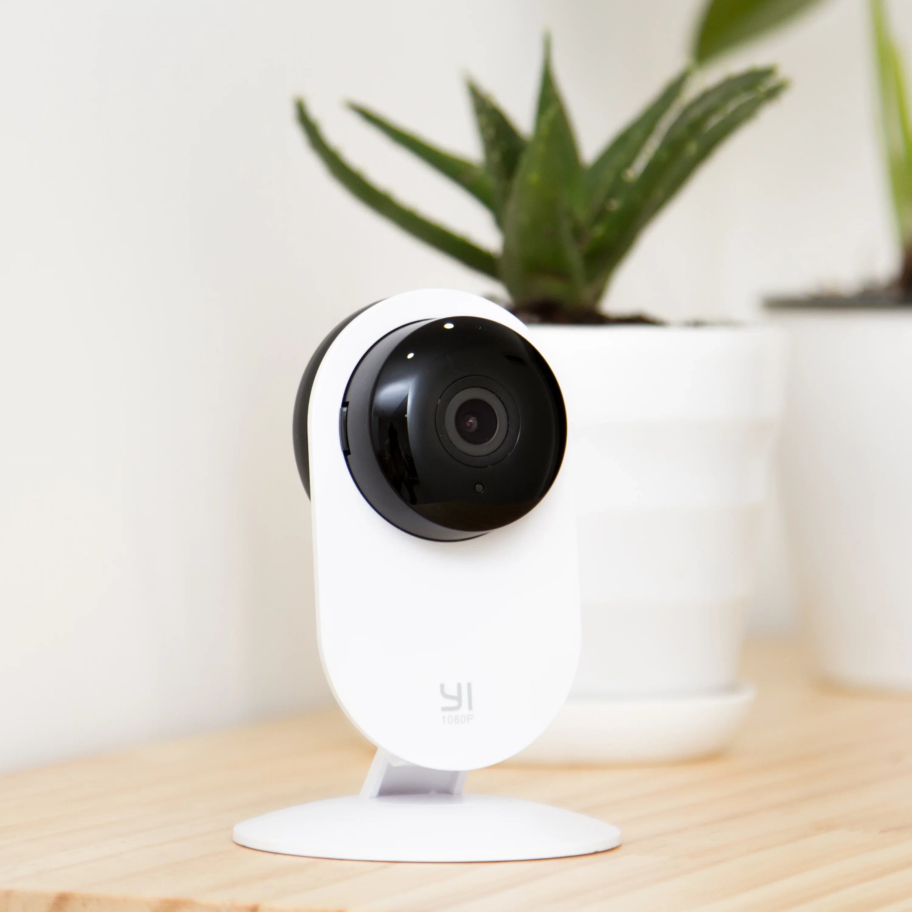 Color, 4 Network Pack Camera,
