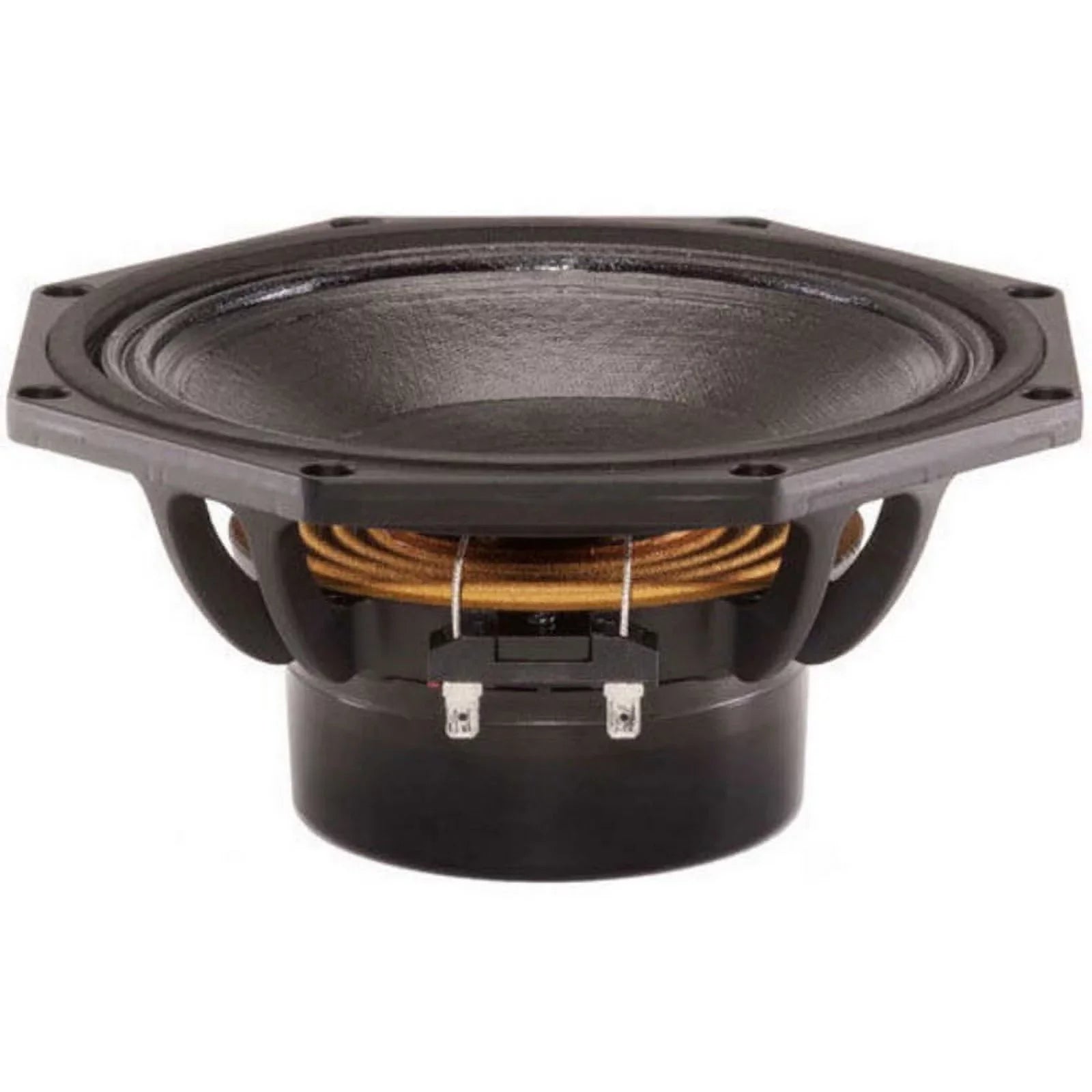 Woofer 8NDL64 B&C 8" Neodymium