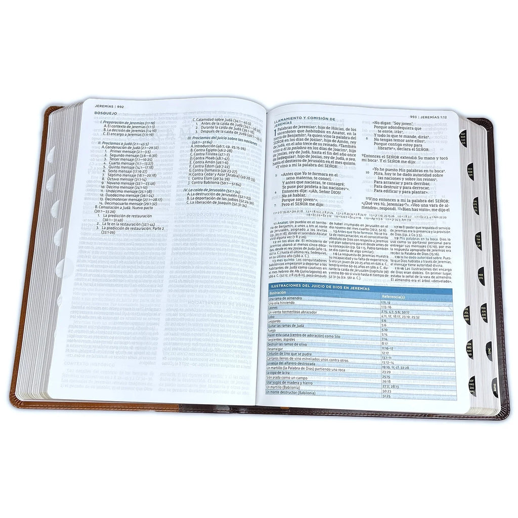 Con Macarthur, Café, Nbla Colores, de Leathersoft, Interior (Other) Estudio a Biblia Índice