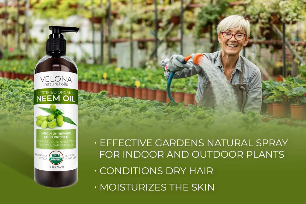 Results Use Cold 100% Skin | and Organic Certified Oil Hair, Oil Today Natural Care | USDA Unrefined, | oz - 64 | Neem Enjoy and Pure Pressed - Velona Virgin, Body Carrier