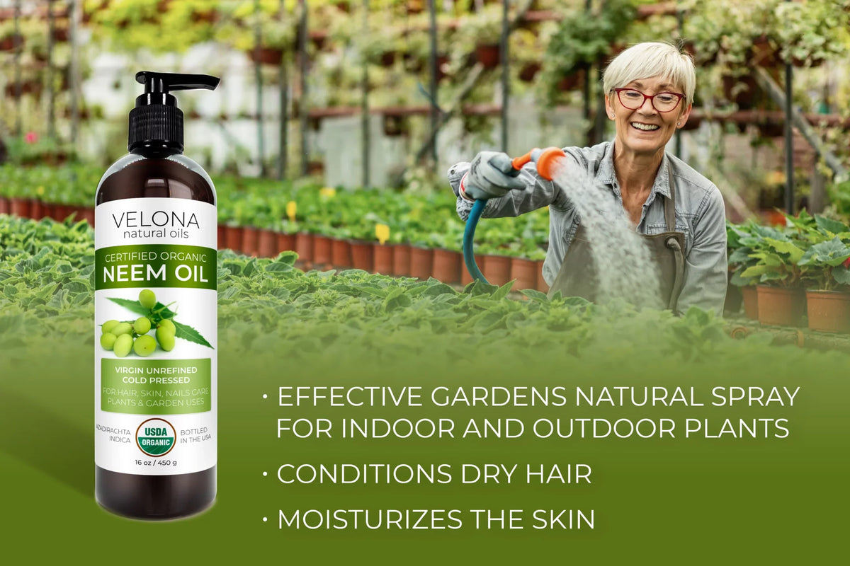 Results Use Cold 100% Skin | and Organic Certified Oil Hair, Oil Today Natural Care | USDA Unrefined, | oz - 64 | Neem Enjoy and Pure Pressed - Velona Virgin, Body Carrier