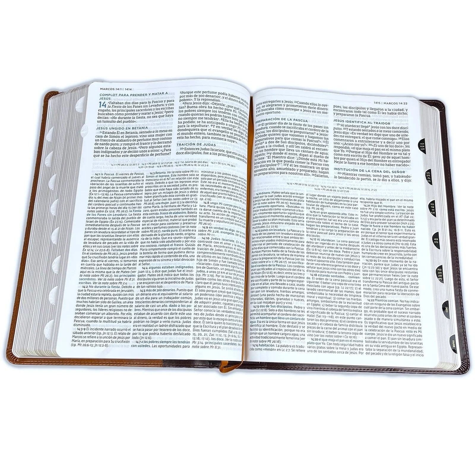 Con Macarthur, Café, Nbla Colores, de Leathersoft, Interior (Other) Estudio a Biblia Índice