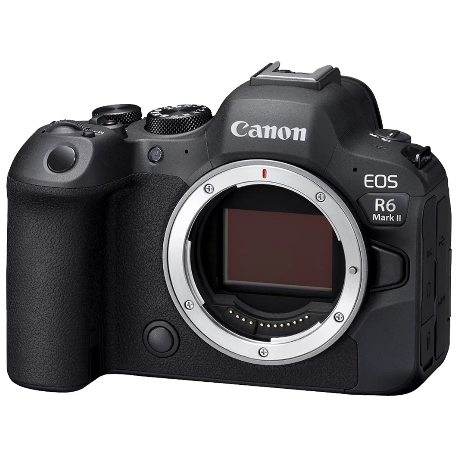 '+ SanDisk Flash 2 75-300mm + Mount Camera 24-105mm + Pack Accessory Mark Memory R6 32GB Mirrorless + + Lens ZeeTech Canon with + Adapter Card Case