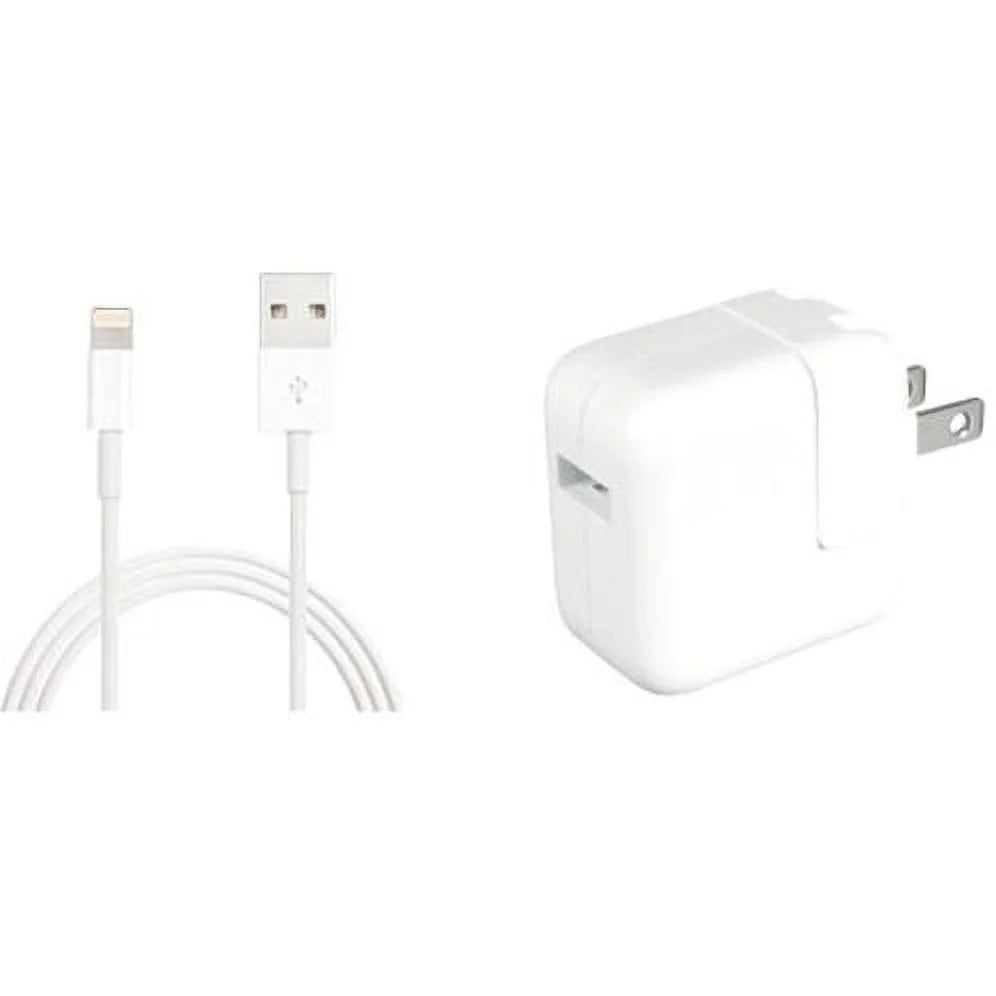 (4th Mini Gen, 2015), (Refurbished) Gray, 4 Restored (MK6K2LL/A, A1538) 128GB, iPad Only Wifi Space