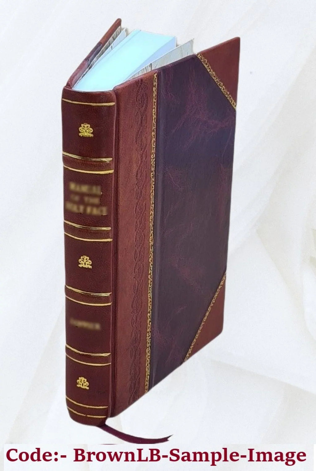 la ottavo della Tomo secolo primo primo descritta ... Tomo della Orsi Della ecclesiastica Agostino quinta F. ventesimo storia parte contenente quarto istoria del Giuseppe da de'predicatori dell'ordine