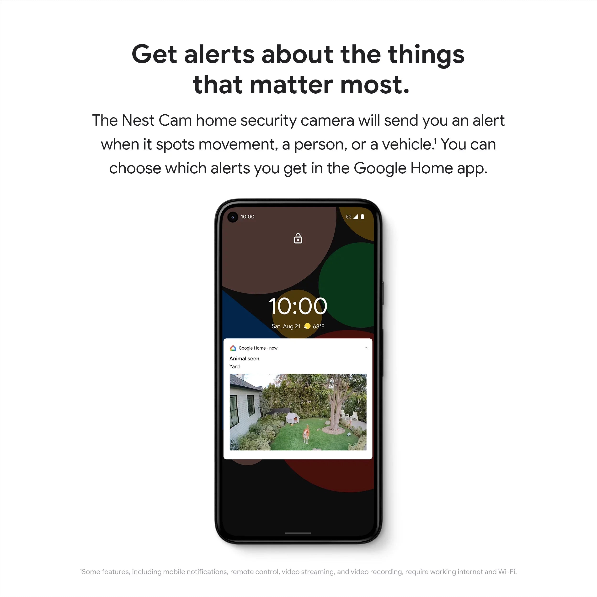 Nest White battery) indoor, Camera 1pk (outdoor or