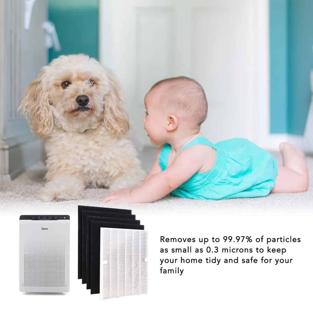 115115 A and 5500 Hepa Filter for 5300-2, Set) 6300-2,P300, Filter C535, 5300 Winix for (1 Replacement
