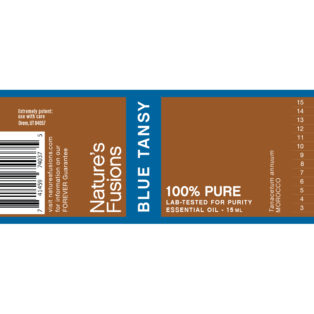Essential Tansy Oil Blue