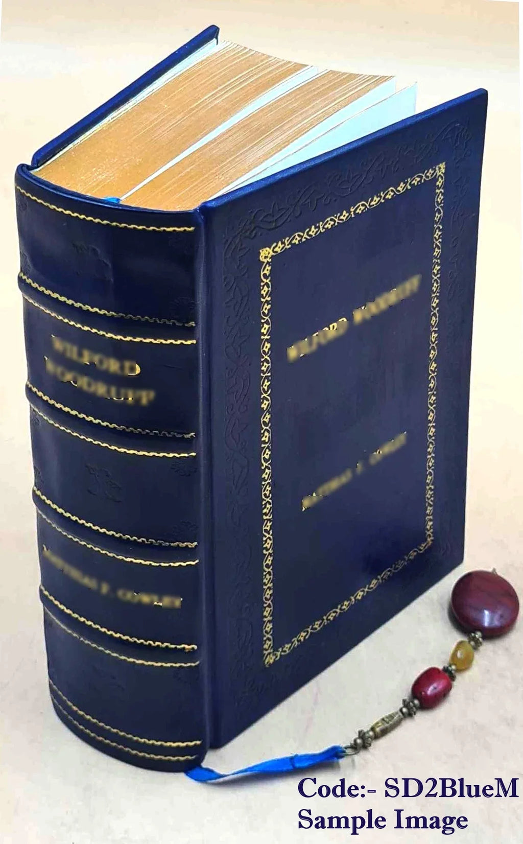 Catskin, hundred and forty-five of 1893 and Cap O' Rushes Bound] Cinderella Cinderella, Leather variants [Premium Three