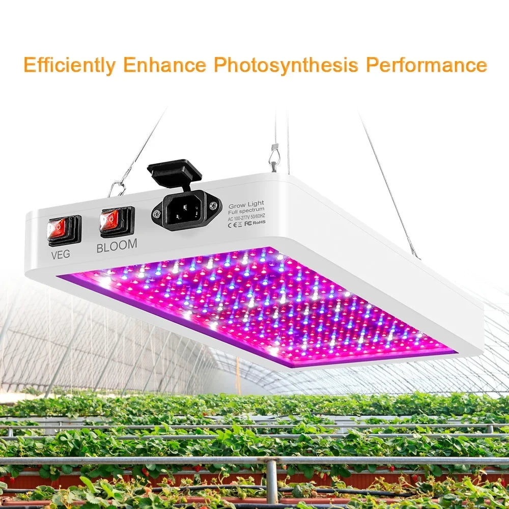 Veg Growing and Hanging Bloom Seedlings Plant 2000W Greenhouse LEDs Dual IP65 for for Lamps Waterproof Indoor Plants Spectrum Flowers Switch 312 Grow Full