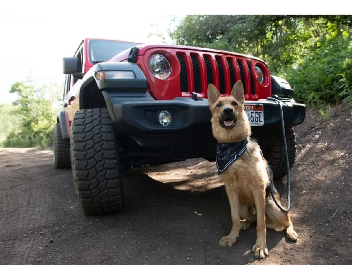 Sleeping Venture Red, Large Bag Jeep Bed, Dog Colorado