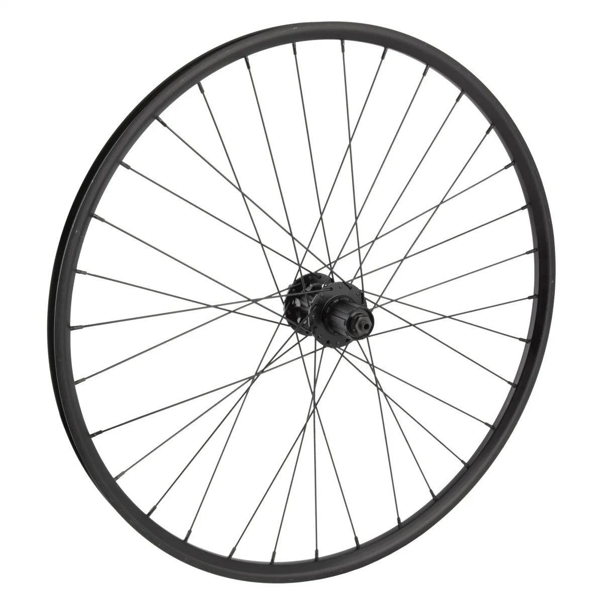 Alloy Master i21 Double 26in Wheel Wall 2.0 6B 26in Disc Mountain