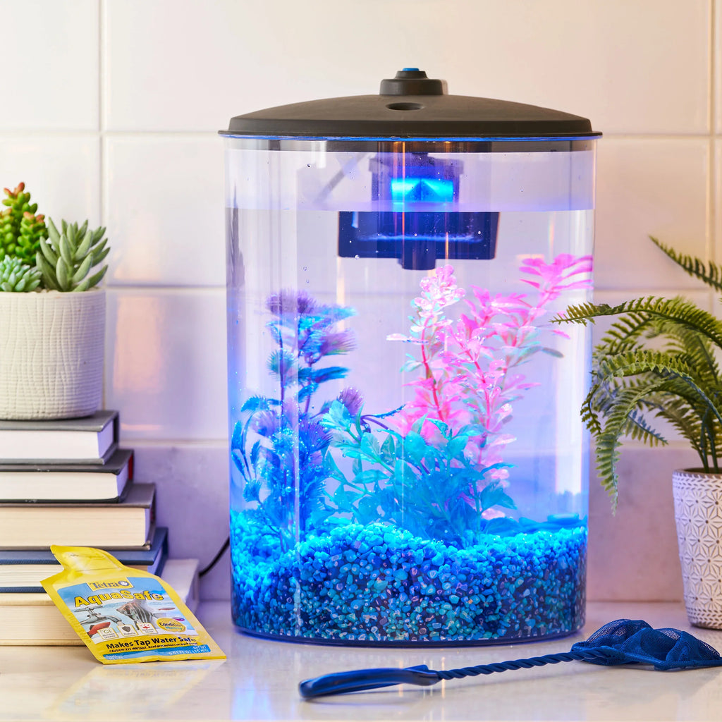 Aqua Power with Culture Plastic 3-Gallon Light Filter and Aquarium
