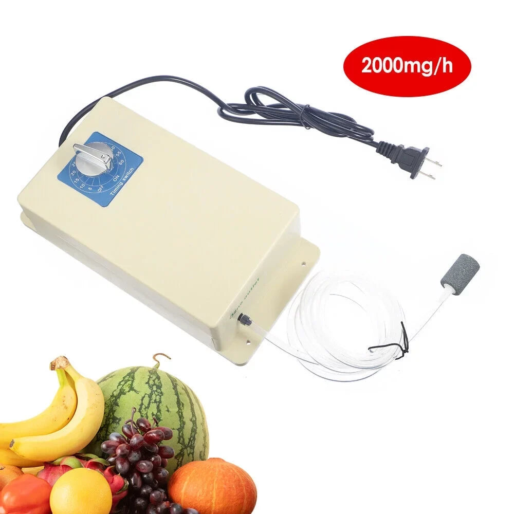 Ozone 2000mg/h Sterilizer Machine Swithch Moisture Time Purifier + Air Generator