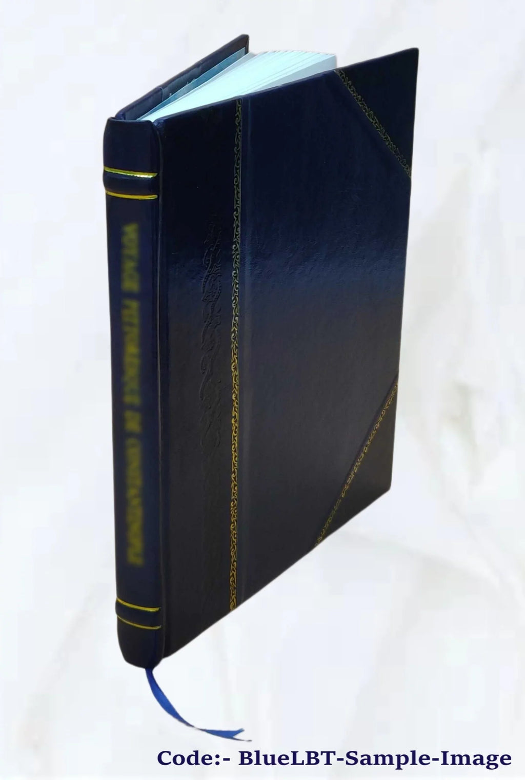 [Leather Rocky Bound] resources, statement : Mountain environmental : Moisture impact Pipeline 1981 report technical Project