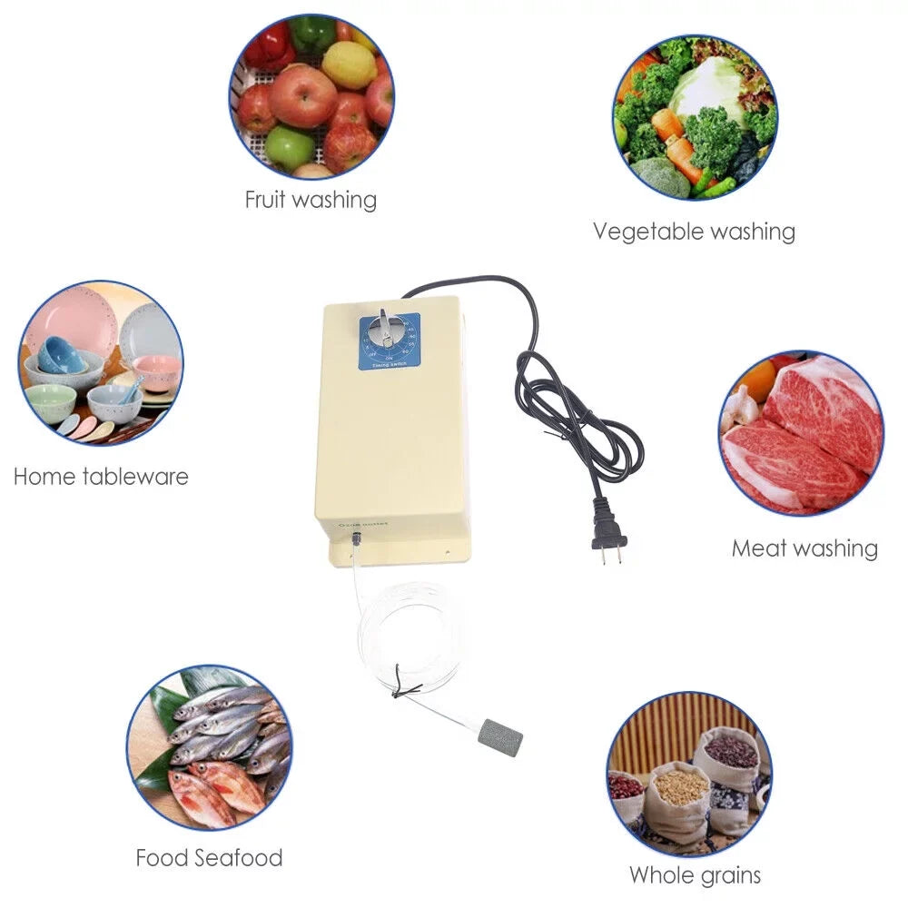 Ozone 2000mg/h Sterilizer Machine Swithch Moisture Time Purifier + Air Generator