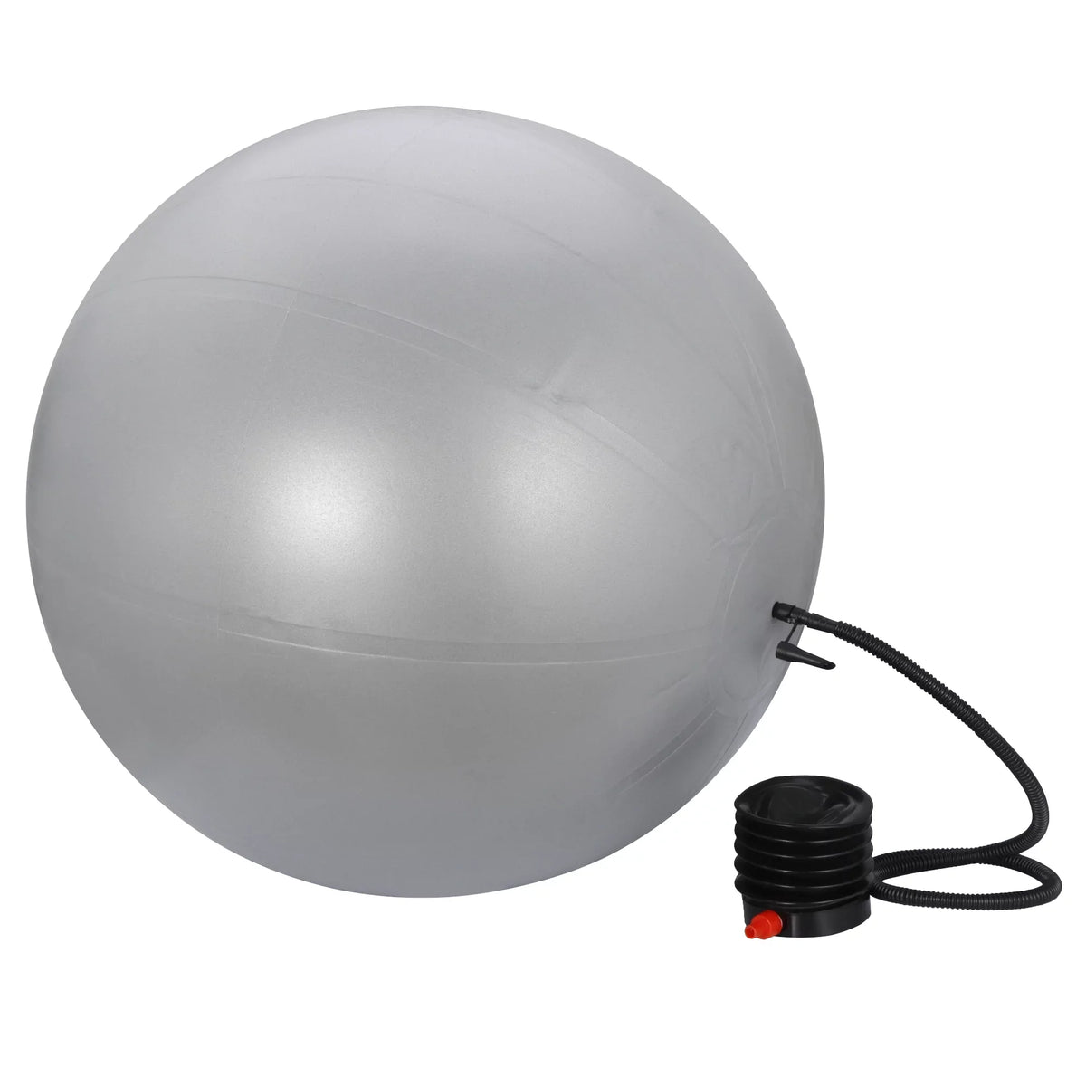 with Balls Stability & Fitness Quick for Birthing, Exercise Guide Burst Balance Anti- Ball Yoga,Pilates, & Fitness ZENSTYLE Pump Ball Workout