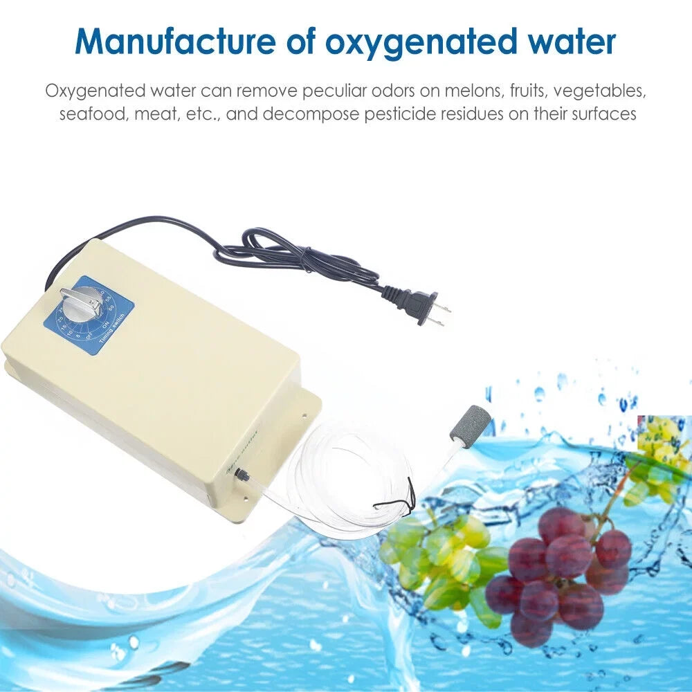 Ozone 2000mg/h Sterilizer Machine Swithch Moisture Time Purifier + Air Generator