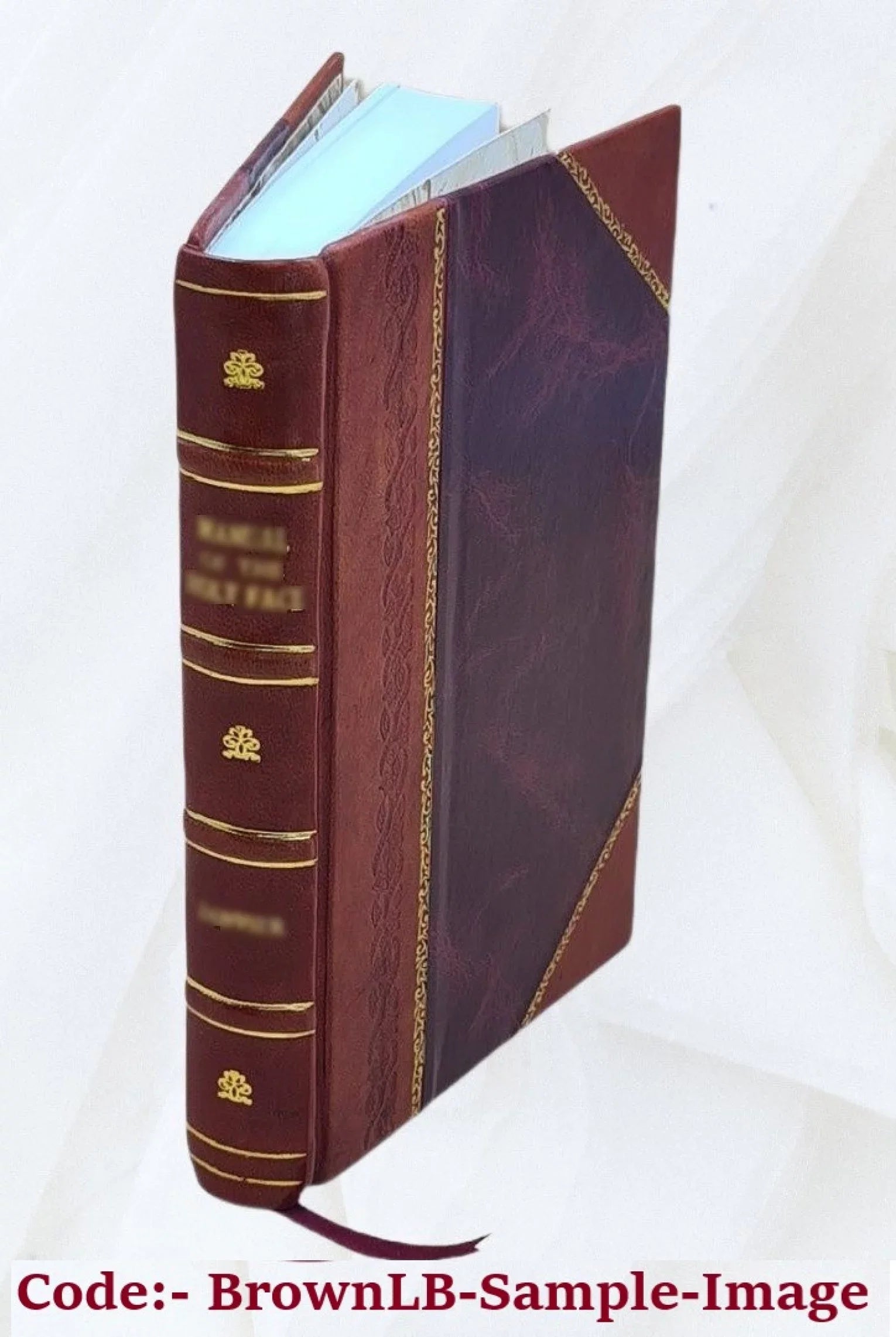 Volume 87 annual (1986) Proceedings 1900 the Bound] convention of [Leather