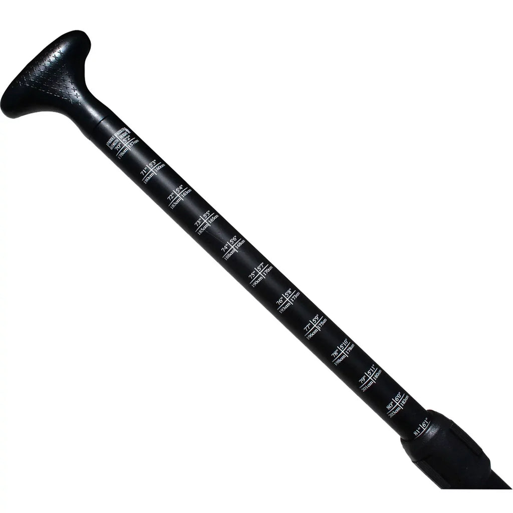 Paddle Advanced SUP Atomic Elements