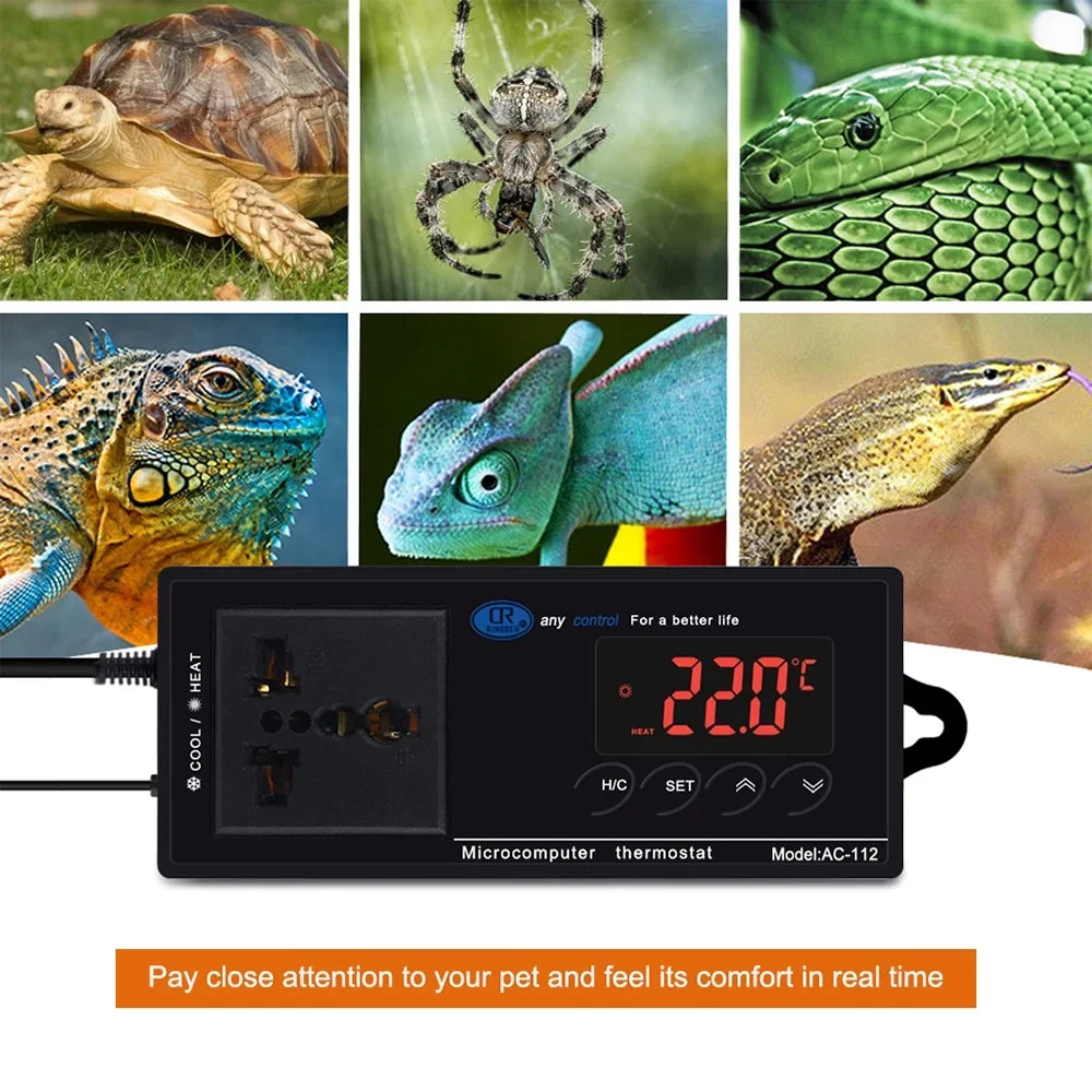 Heating Controller for Brewing Home Digital -40℃~110℃ with Green Thermostat Outlet Reptile Temperature Freezer Mode Cooling Chest Reptiles Incubation Carevas Plug Thermostat Controlled House &