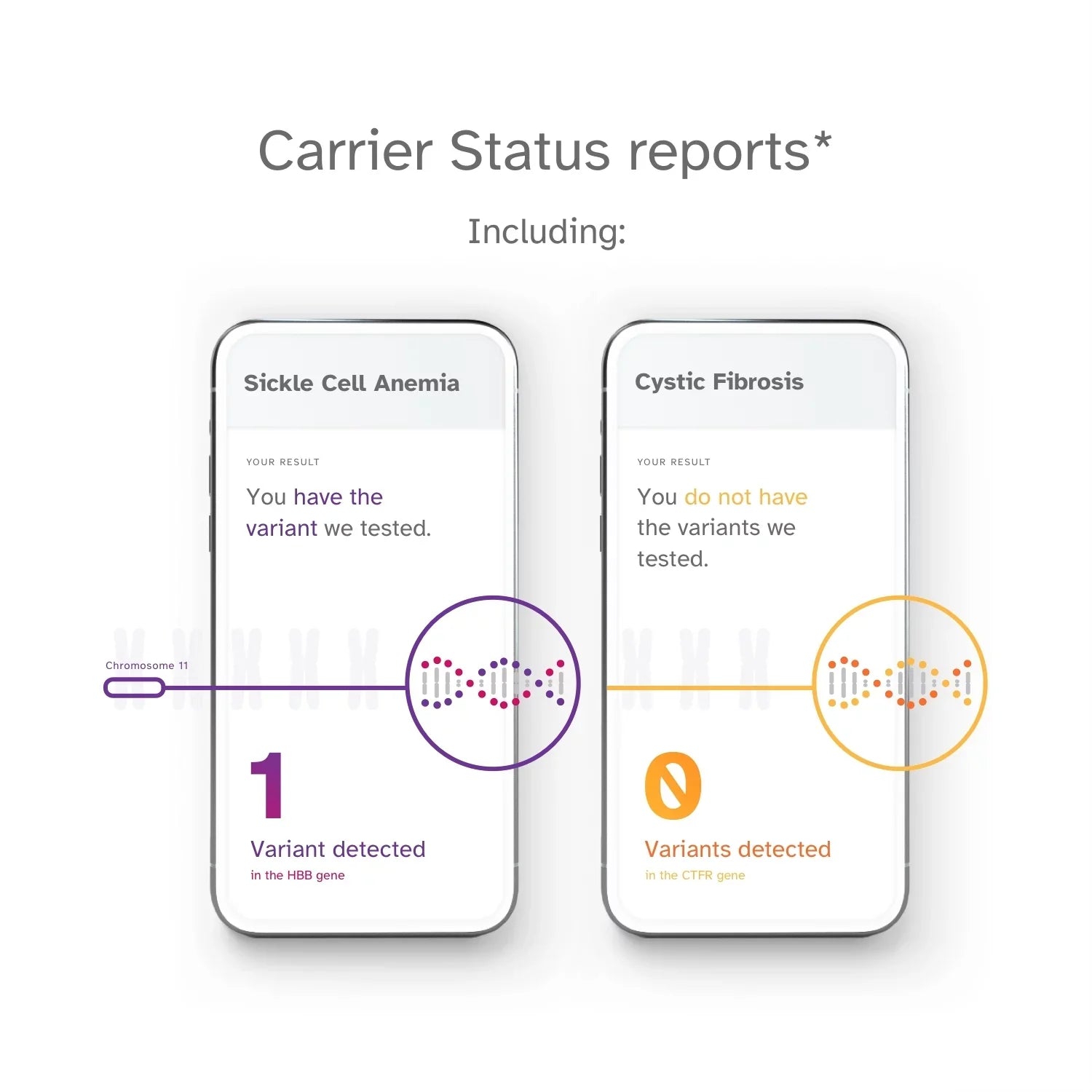 – + Test You Health 23andMe See Buy below) Info Service Important Test (before Ancestry